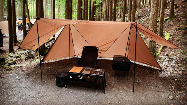 個人会員（年間プラン）