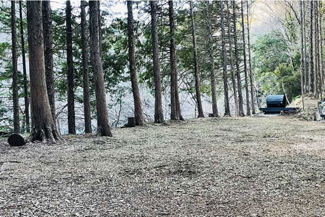 フィールド紹介