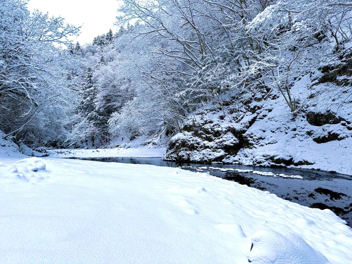 山祇会 メインビジュアル 3
