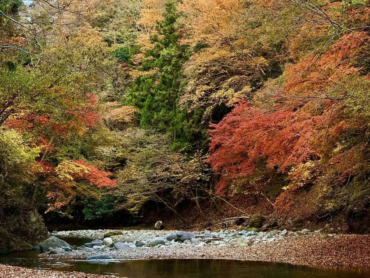 山祇会 メインビジュアル 2