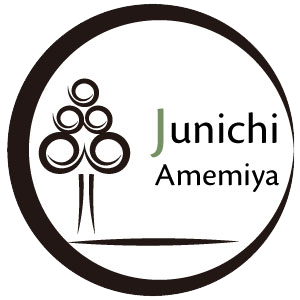 junichi amemiya